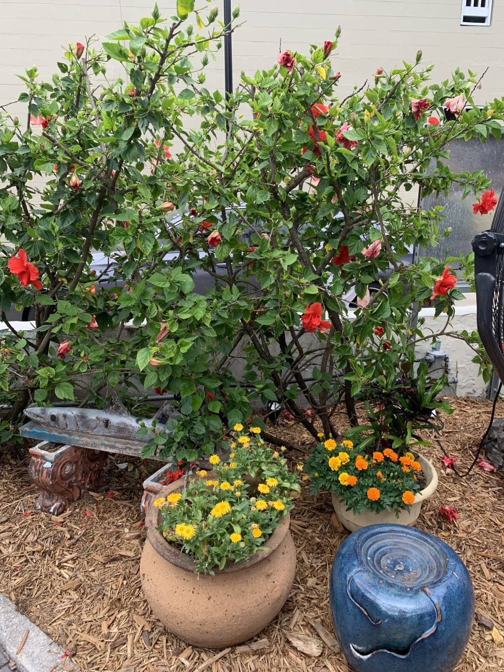 Greetings from America’s Europe AKA StA! – A Garden&nbsp;Stroll